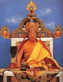 Drubwang Padma Norbu Rinpoche (Penor Rinpoche), Pemegang Tahta Kesebelas (1932–2009)