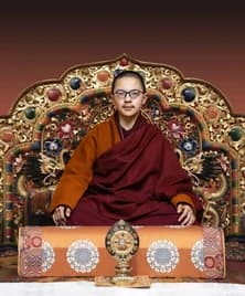 Yangsi Rinpoche, Mingyur Dechen Garwang Zilnon Dorji (lahir 2011)